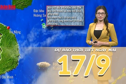 [Video] Dự báo thời tiết đêm nay và ngày mai 17/9/2025: Mưa lớn ở Nam Trung Bộ 