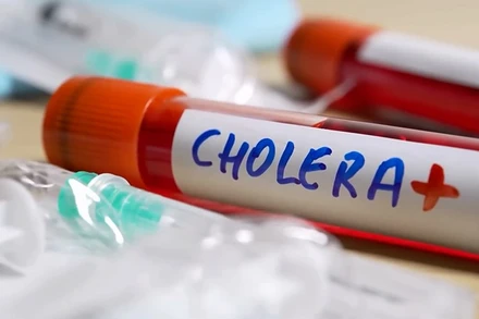 [Video] Dịch tả toàn cầu bùng phát, Việt Nam không thể chủ quan! 