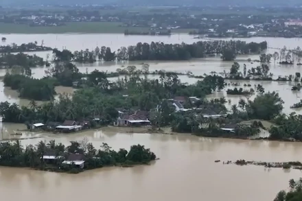 [Video] Khẩn trương hỗ trợ người nộp thuế bị thiệt hại do bão lũ