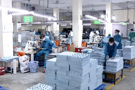 [Video] Báo cáo tình hình tiền lương và thưởng Tết trước ngày 25/12/2025