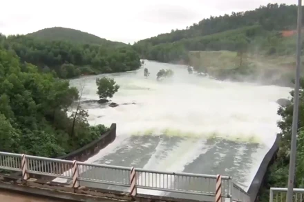 [Video] Yêu cầu rà soát quy trình vận hành các hồ chứa thủy lợi quan trọng, liên tỉnh