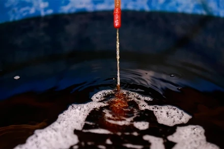 [Video] Chuyện những giọt "mật biển" 