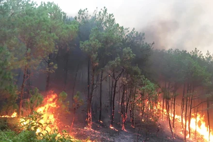 [Video] Tăng cường phòng cháy, chữa cháy rừng do nắng nóng diện rộng