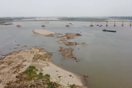 [Video] Sông Hồng trơ đáy, tàu thuyền di chuyển khó khăn 