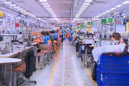 [Video] TP Hồ Chí Minh cần gần 60.000 lao động sau Tết