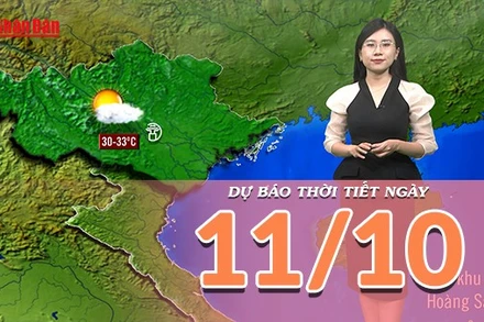 [Video] Dự báo thời tiết ngày 11/10/2025: Bắc Bộ nắng ráo, Trung Bộ và Nam Bộ có mưa dông