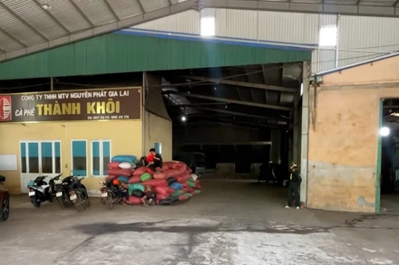 [Video] Gia Lai tạm giữ Giám đốc công ty cà phê nghi sản xuất cà phê giả