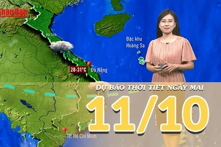 [Video] Dự báo thời tiết đêm nay và ngày mai 11/10/2025: Mưa tiếp diễn ở phần lớn của khu vực Trung Bộ 