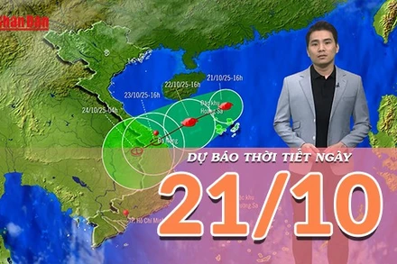 [Video] Dự báo thời tiết ngày 21/10/2025: Bão số 12 có khả năng suy yếu thành áp thấp khi vào đất liền nước ta 