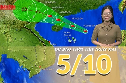 [Video] Dự báo thời tiết đêm nay và ngày mai 5/10/2025: Bão số 11 tăng cấp