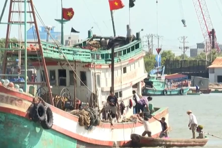 [Video] Cà Mau chấm dứt triệt để tình trạng tàu cá mất kết nối VMS