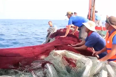 [Video] Kế hoạch hành động tháng cao điểm chống khai thác hải sản bất hợp pháp