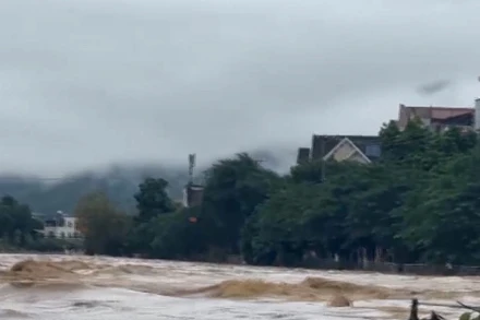 [Video] Thủ tướng yêu cầu chủ động triển khai ứng phó bão số 12 và mưa lũ