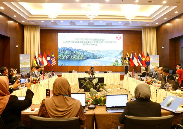 Đẩy mạnh xúc tiến thương mại và hợp tác quốc tế để tìm kiếm thị trường xuất khẩu.