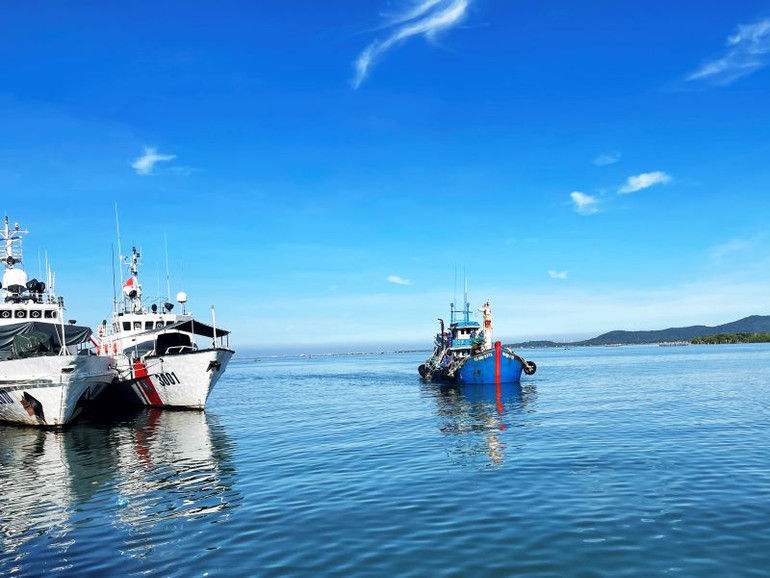 Tàu TG 90297TS được đưa về cảng Hải đội 301 để tiếp tục điều tra. Tàu TG 90297TS được đưa về cảng Hải đội 301 để tiếp tục điều tra.