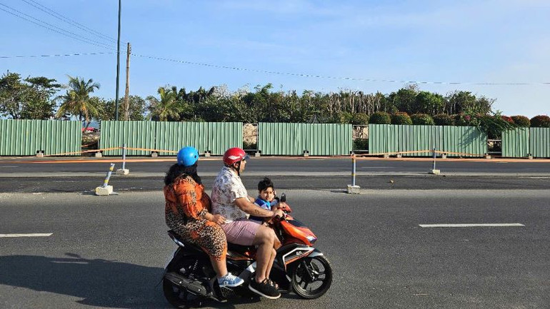 Cây xanh đã được tập kết để chuẩn bị trồng trong dự án. Cây xanh đã được tập kết để chuẩn bị trồng trong dự án.