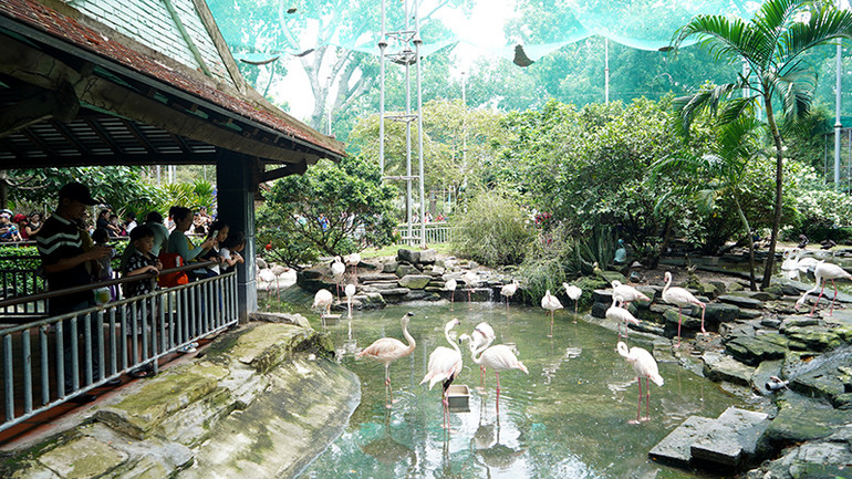 Nhiều gia đình đưa con nhỏ đến Thảo Cầm Viên vào dịp lễ 2/9 này.