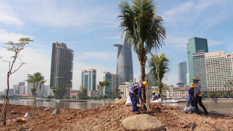 Cánh đồng hoa hướng dương nằm trong kế hoạch cải tạo, chỉnh trang không gian bờ đông sông Sài Gòn dài hơn 800m từ cầu Ba Son đến nóc hầm Thủ Thiêm (thành phố Thủ Đức). Đại diện Ủy ban nhân dân thành phố Thủ Đức cho biết, đơn vị đang cố gắng hoàn thành một số hạng mục như: vườn hoa hướng dương, công viên dọc bờ sông… trước Tết Dương lịch 2024 để phục vụ người dân. Một số hạng mục khác sẽ hoàn thành trước Tết Nguyên đán 2024. Những hạng mục có tính kết cấu mang tính dài hạn sẽ hoàn thành trước ngày 30/4/2024.