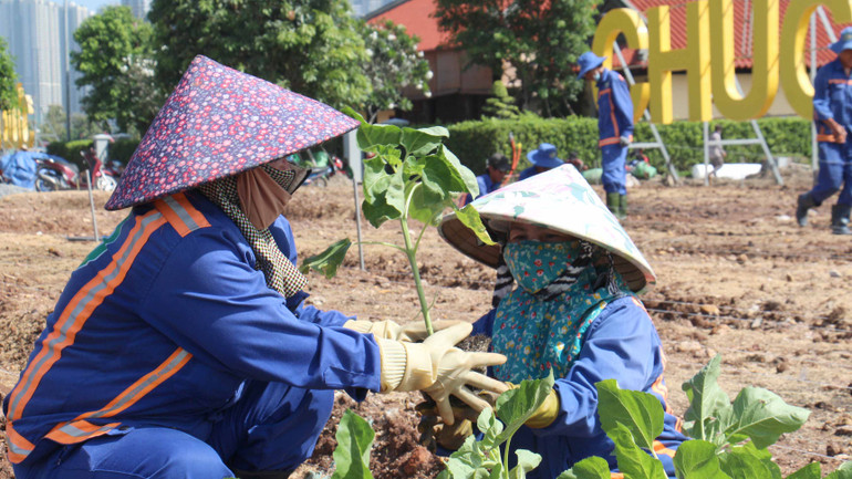 Vườn hoa hướng dương được kỳ vọng là điểm check-in ấn tượng, thu hút đông đảo người dân và du khách đến thưởng lãm, đặc biệt là giới trẻ trong dịp Tết năm nay.