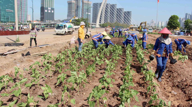 Theo phương án cải tạo, vận hành công viên bờ sông Sài Gòn, đoạn từ cầu Ba Son đến đường hầm sông Sài Gòn, phường Thủ Thiêm (thành phố Thủ Đức) được chia làm 14 hạng mục.