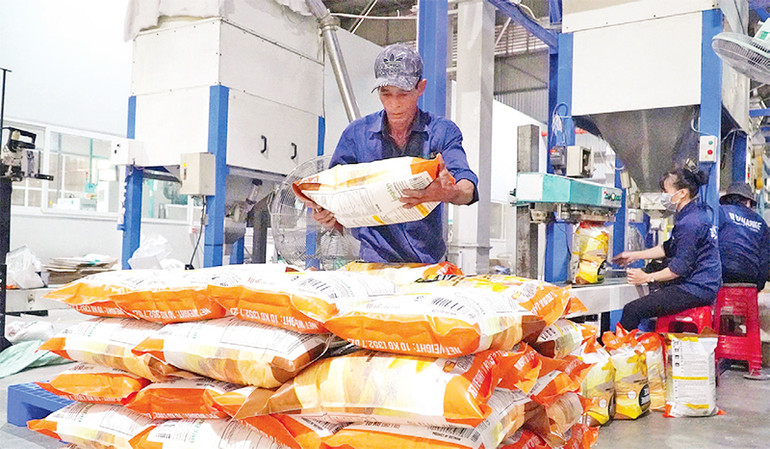 Gạo chất lượng cao tại Nhà máy chế biến gạo của Công ty TNHH lúa, gạo Việt Nam (VINARICE).