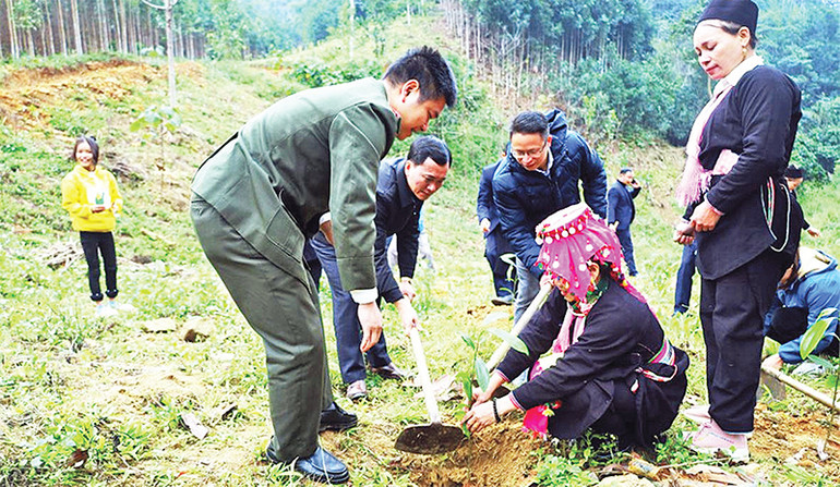 Tết trồng cây Xuân Ất Tỵ và trồng rừng năm 2025 được tổ chức ở các cấp, các ngành, địa phương thuộc tỉnh Lào Cai. (Ảnh KIM THOA)