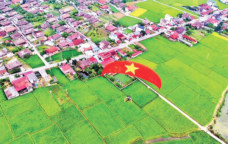 Bay trên mùa vàng.