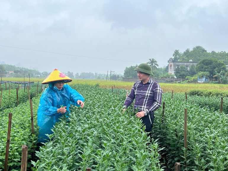Mô hình trồng hoa phục vụ tết Nguyên đán của người dân xã Thạch Bình mang lại thu nhập cao cho người dân vào mỗi dịp cuối năm.