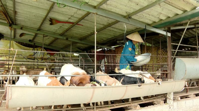 Nhiều chính sách hỗ trợ cho người dân phát triển kinh tế nâng cao thu nhập.