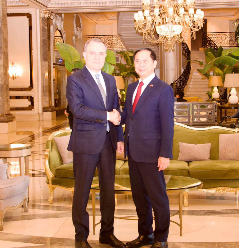 Phó Thủ tướng, Bộ trưởng Ngoại giao Bùi Thanh Sơn hội kiến Bộ trưởng Ngoại giao Azerbaijan Jeyhun Bayramov.