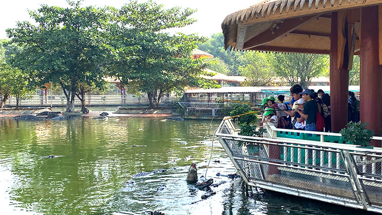 Các em tham gia các hoạt động vui chơi tại Khu du lịch văn hóa Suối Tiên.