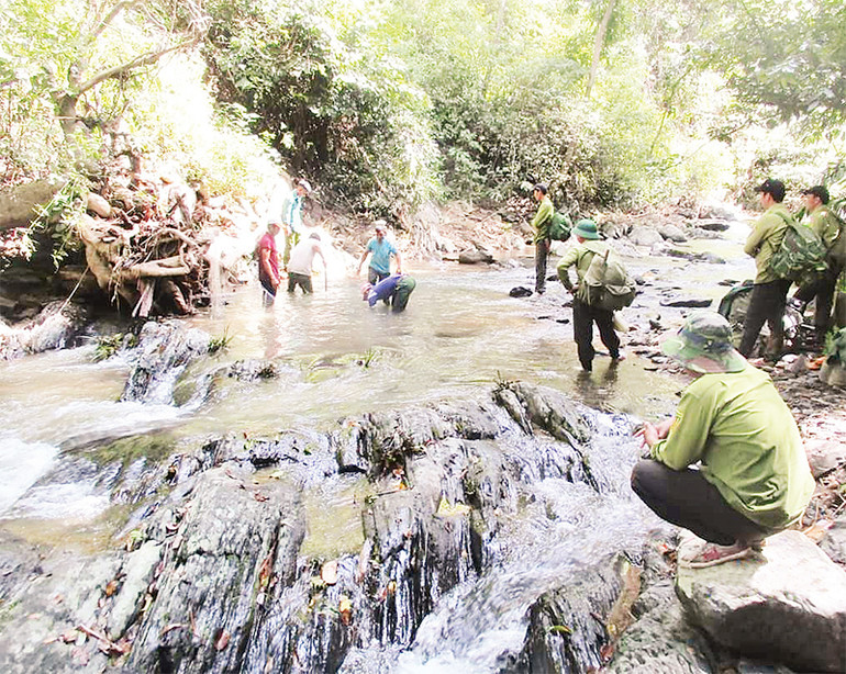 Ảnh trong bài: Anh Ngô Đức Liên cùng Tổ công tác trong một chuyến tuần tra bảo vệ rừng. Ảnh | NVCC