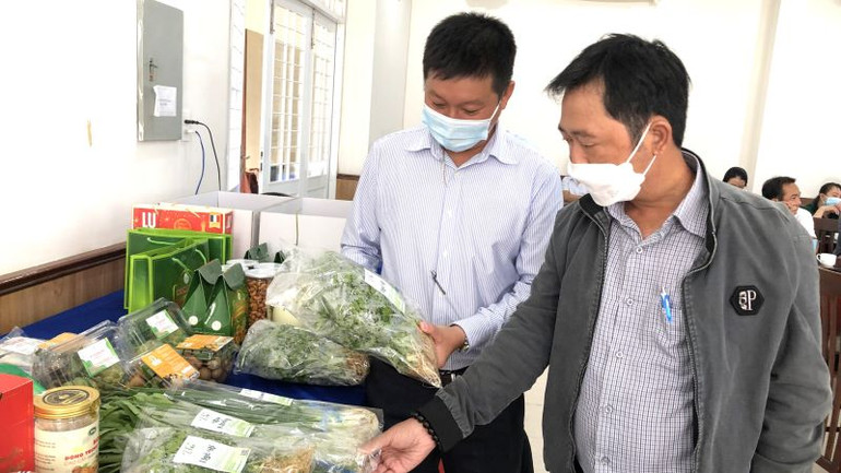 Sản phẩm rau xanh Diệp Châu của tổ liên kết sản xuất rau xanh Diệp Châu Long Mỹ (huyện Đất Đỏ) được chứng nhận OCOP 3 sao.