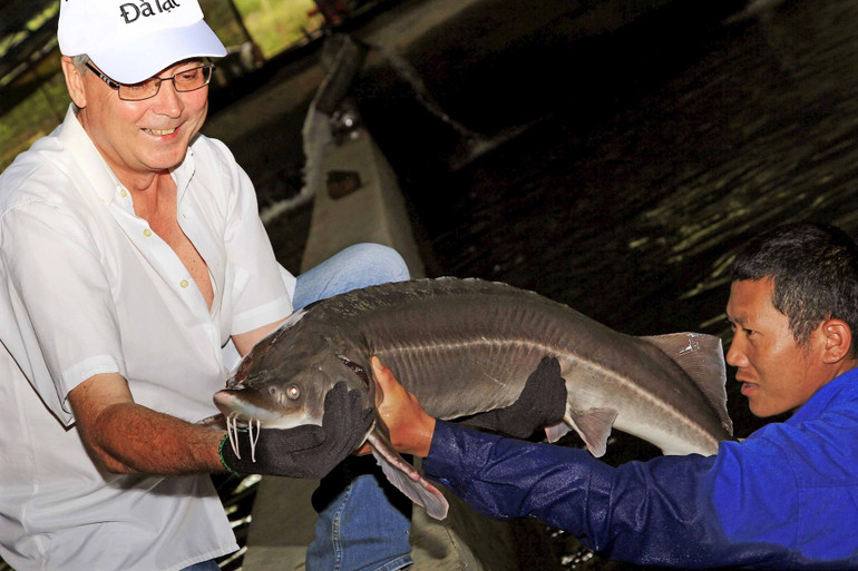 Ông Kuznetsov (người bên trái) tại trang trại cá tầm Thung Lũng Nắng (Lạc Dương, Lâm Đồng).