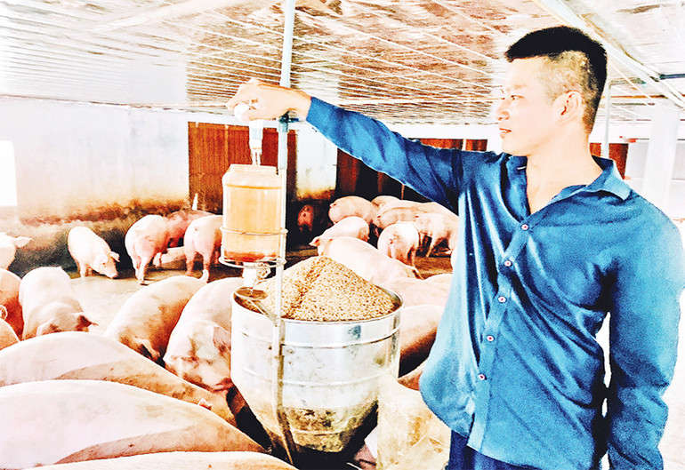 Nhiều hộ dân vay vốn từ Ngân hàng Chính sách xã hội để phát triển sản xuất, chăn nuôi, vươn lên thoát nghèo.