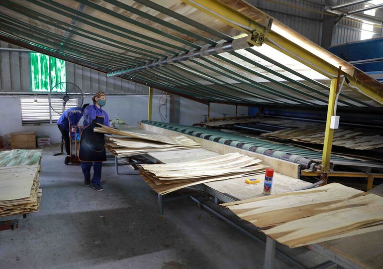 Gỗ dán, sản phẩm ưa chuộng tại thị trường Mỹ.