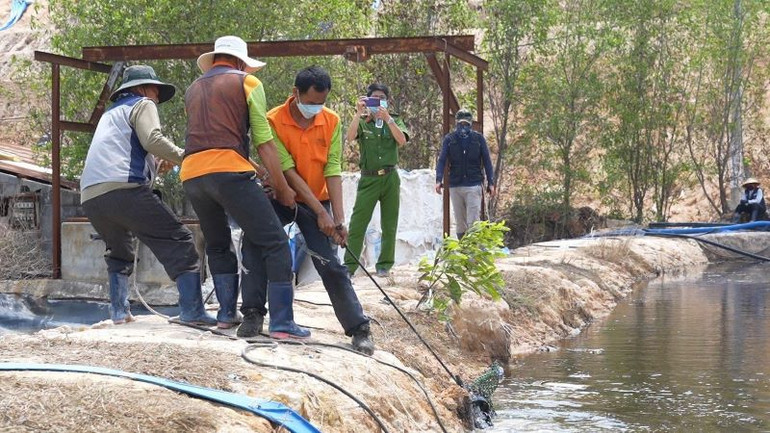 Công ty Trách nhiệm hữu hạn Kbec Vina có 100% vốn Hàn Quốc liên tục bị xử phạt hành chính vì xả thải vượt quy định ra môi trường.