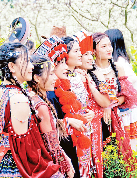 Du khách ghi lại những khoảnh khắc đẹp bên hoa mận.