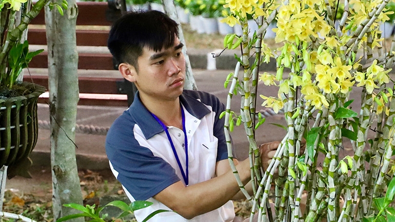 Hội hoa xuân Tao Đàn luôn tập hợp nhiều loại hoa, cây kiểng độc đáo.