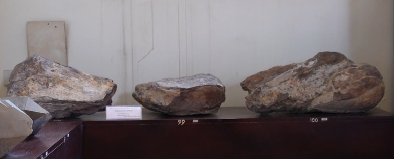 Hóa thạch xương đùi khủng long Titanosaurus được khai quật tại Lào vào năm 1935.