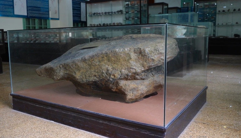 Hóa thạch nón quả được tìm thấy ở Na Dương, Lạng Sơn năm 2002. Đây là mẫu cổ sinh lớn nhất được trưng bày tại bảo tàng.