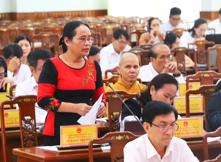 Đại biểu Hội đồng nhân dân tỉnh Ninh Thuận chất vấn một số nội dung liên quan đến thực hiện nhiệm vụ phát triển kinh tế-xã hội 6 tháng đầu năm 2024.