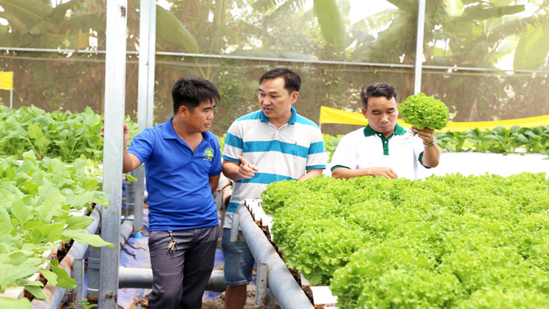 Mô hình sản xuất nông nghiệp công nghệ cao ngày càng lan tỏa đối với thanh niên khởi nghiệp tại Ninh Thuận.