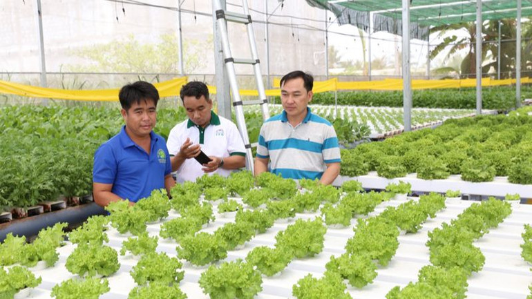 Sản xuất nông nghiệp ứng dụng công nghệ cao đem lại lợi nhuận cao đang được tỉnh Ninh Thuận khuyến khích nông dân nhân rộng mô hình. (Ảnh: NGUYỄN TRUNG)