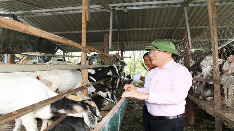 Đoàn công tác đi thăm hộ nghèo tại huyện Thuận Bắc nhờ được vay vốn Chi nhánh Ngân hàng Chính sách xã hội tỉnh đầu tư chăn nuôi, sản xuất vươn lên thoát nghèo bền vững.