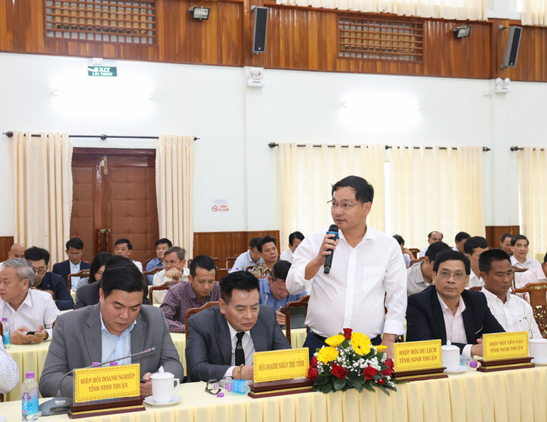 Chủ tịch Hiệp hội Du lịch tỉnh Ninh Thuận Nguyễn Anh Vũ phát biểu tại hội nghị (Ảnh: NGUYỄN TRUNG)