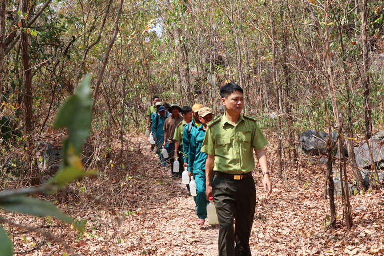 Lực lượng kiểm lâm triển khai chuẩn bị các dụng cụ chữa cháy lưu động và tổ chức tuần tra, kiểm soát, theo dõi diễn biến phức tạp của thời tiết để ứng phó kịp thời khi phát hiện xảy ra cháy rừng Lực lượng kiểm lâm triển khai chuẩn bị các dụng cụ chữa cháy lưu động và tổ chức tuần tra, kiểm soát, theo dõi diễn biến phức tạp của thời tiết để ứng phó kịp thời khi phát hiện xảy ra cháy rừng