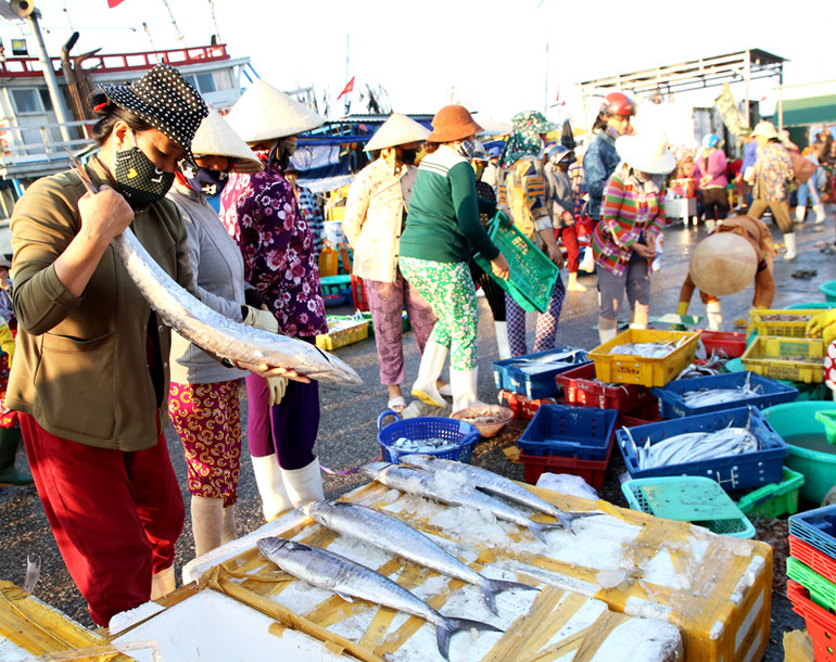 Thời tiết và diễn biến ngư trường thuận lợi cho nên từ đầu năm 2024 đến nay, ngư dân tỉnh Ninh Thuận khai thác nhiều loại hải sản có giá trị kinh tế cao.