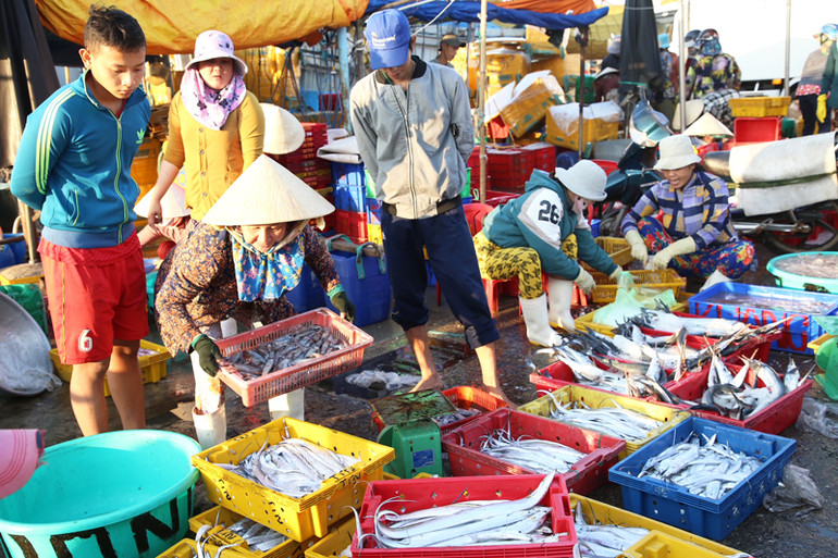 Cảnh mua bán hải sản tại cảng cá Đông Hải, thành phố Phan Rang - Tháp Chàm, tỉnh Ninh Thuận luôn nhộn nhịp vào mỗi buổi sáng.