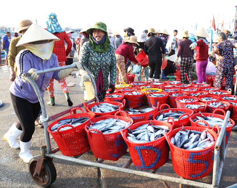 Ngư dân huyện Ninh Hải phấn khởi khi khai thác hải sản đạt sản lượng cao.